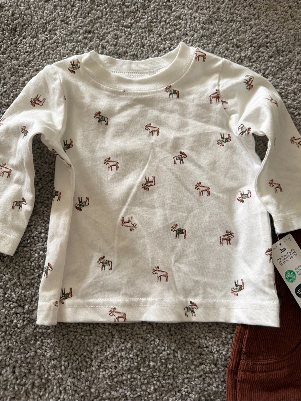 Carter's Rust Brown Corduroy Overalls with Cream Printed Top